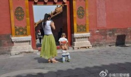 故宫院长爆料新闻视频大全,新闻视频大全背后的精彩瞬间